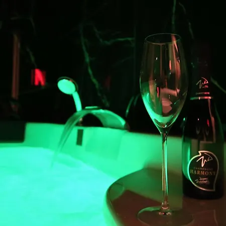 La Bulle Emeraude - Jacuzzi, Terrasse, Parking Prive Et Gratuit Appartamento