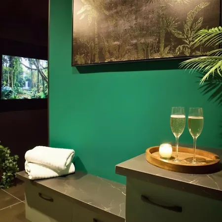 Apartament La Bulle Emeraude - Jacuzzi, Terrasse, Parking Prive Et Gratuit Saint-Omer (Pas-de-Calais)